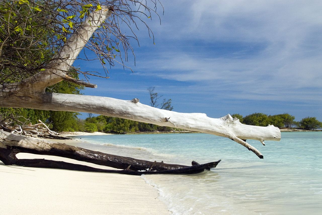 Waldorf Astoria Seychelles Platte Island